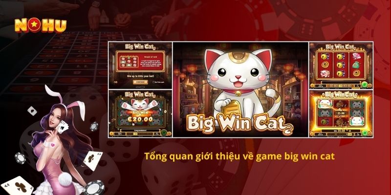 Tổng quan giới thiệu về game big win cat  