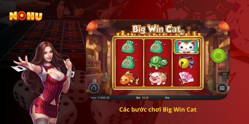 Các bước chơi Big Win Cat dễ thắng